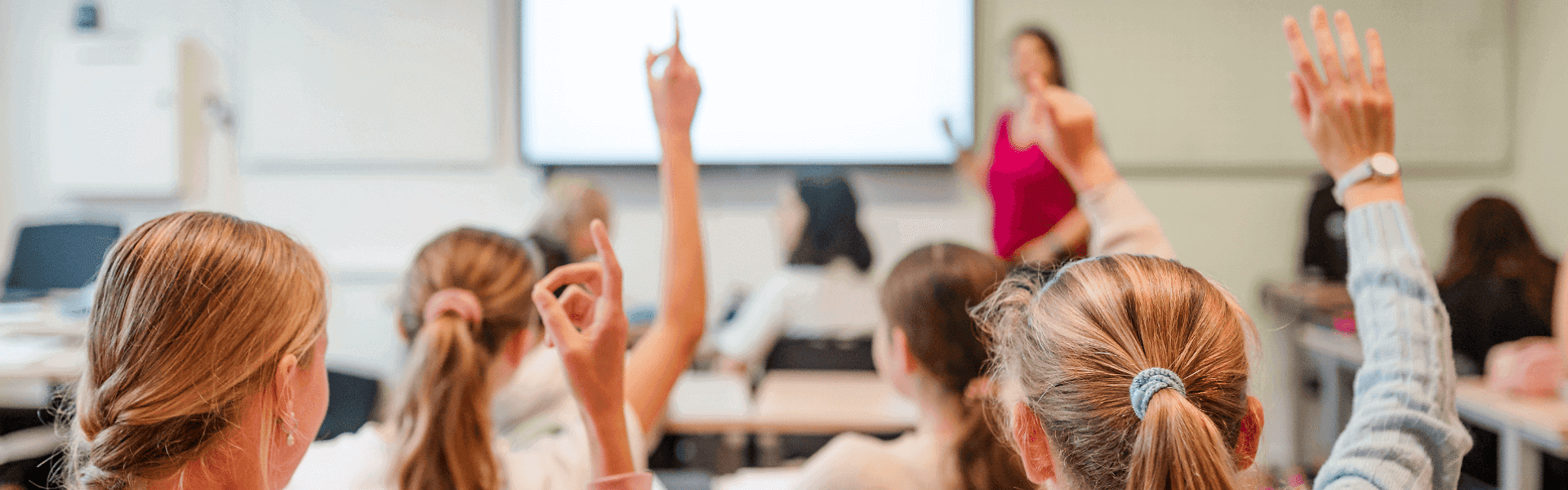 Vocus Onderwijs